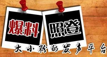 到哪里新闻爆料,追踪真相，守护公正